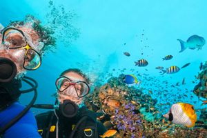 Дайвинг – погружение в изысканное великолепие подводного мира фото