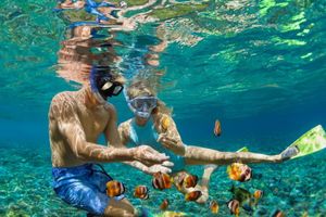 Снорклинг – подводное погружение в заморское волшебство фото